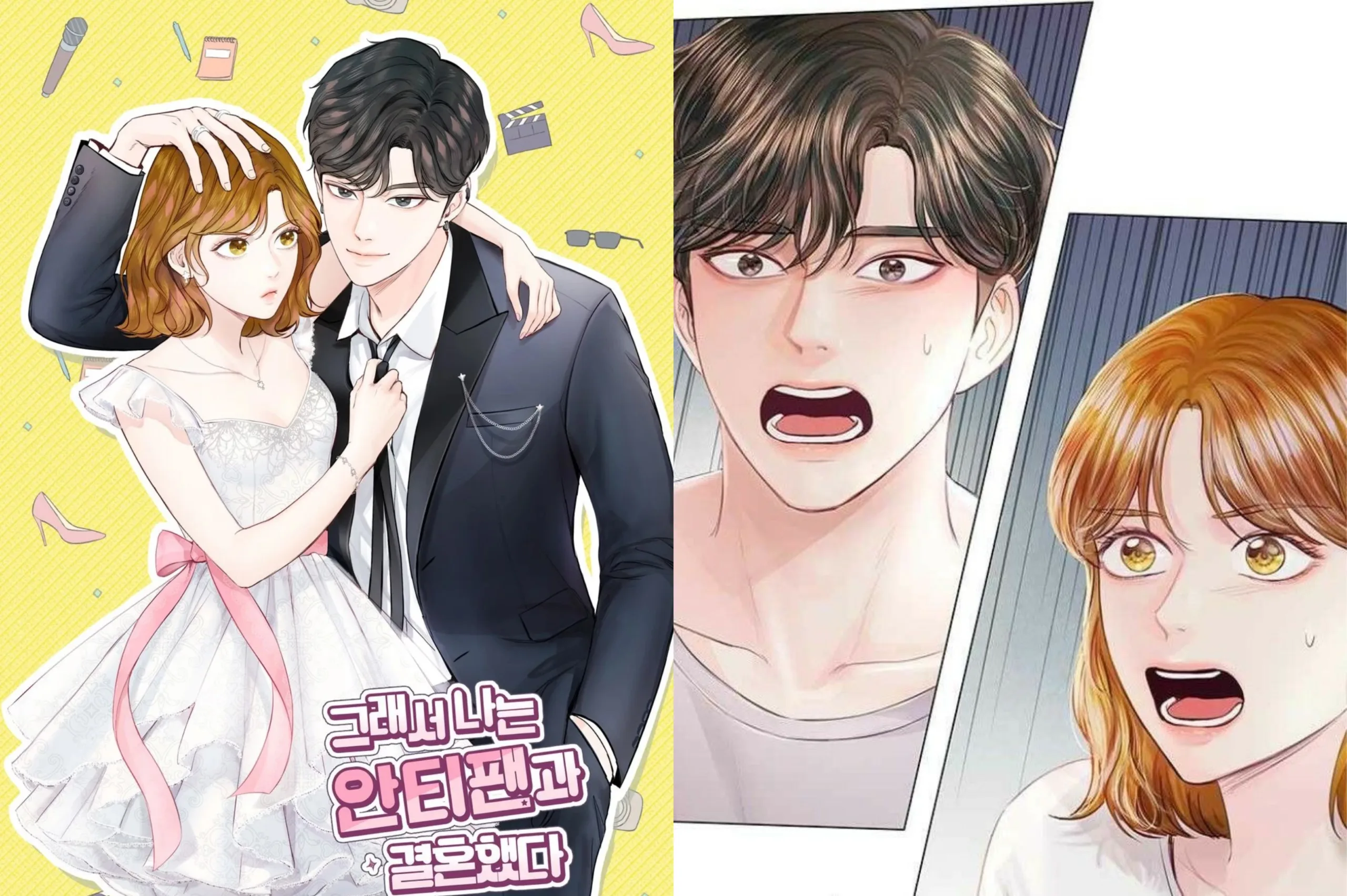 So I Married The Anti Fan Webtoon