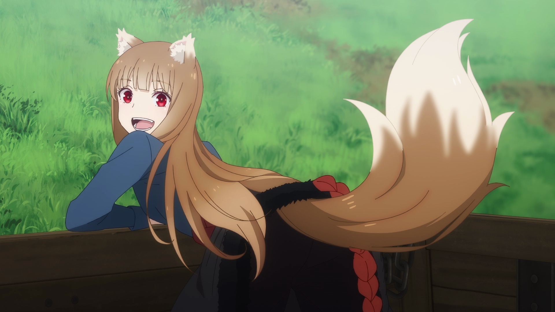 Spice and wolf